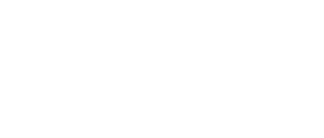 Ben Wenzel White Logo